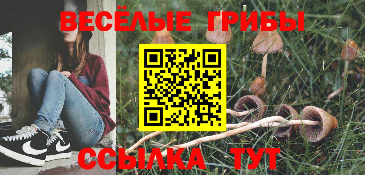 Галлюциногенные грибы прущие грибы  Вход с VPN  Людиново 